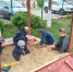 <br /><a class="sigProDownloadLink" href="/plugins/content/jw_sigpro/jw_sigpro/includes/download.php?file=images/55/1.jpg" download>Download this image</a> - Щигровский центр соцпомощи