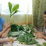 <br /><a class="sigProDownloadLink" href="/plugins/content/jw_sigpro/jw_sigpro/includes/download.php?file=images/591/1.jpg" download>Download this image</a> - Щигровский центр соцпомощи