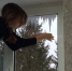 <br /><a class="sigProDownloadLink" href="/plugins/content/jw_sigpro/jw_sigpro/includes/download.php?file=images/840/001.jpg" download>Download this image</a> - Щигровский центр соцпомощи