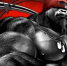 <br /><a class="sigProDownloadLink" href="/plugins/content/jw_sigpro/jw_sigpro/includes/download.php?file=images/1034/1.jpg" download>Download this image</a> - Щигровский центр соцпомощи