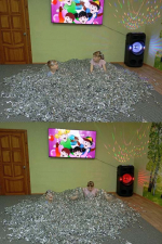 Download this image