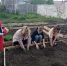 <br /><a class="sigProDownloadLink" href="/plugins/content/jw_sigpro/jw_sigpro/includes/download.php?file=images/1112/1.jpg" download>Download this image</a> - Щигровский центр соцпомощи