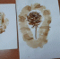 <br /><a class="sigProDownloadLink" href="/plugins/content/jw_sigpro/jw_sigpro/includes/download.php?file=images/1438/1.jpg" download>Download this image</a> - Щигровский центр соцпомощи