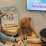 <br /><a class="sigProDownloadLink" href="/plugins/content/jw_sigpro/jw_sigpro/includes/download.php?file=images/1593/001.jpg" download>Download this image</a> - Щигровский центр соцпомощи