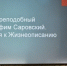 В Щигровской епархии прошел семинар, посвященный преподобному Серафиму Саровскому. - Щигровская епархия